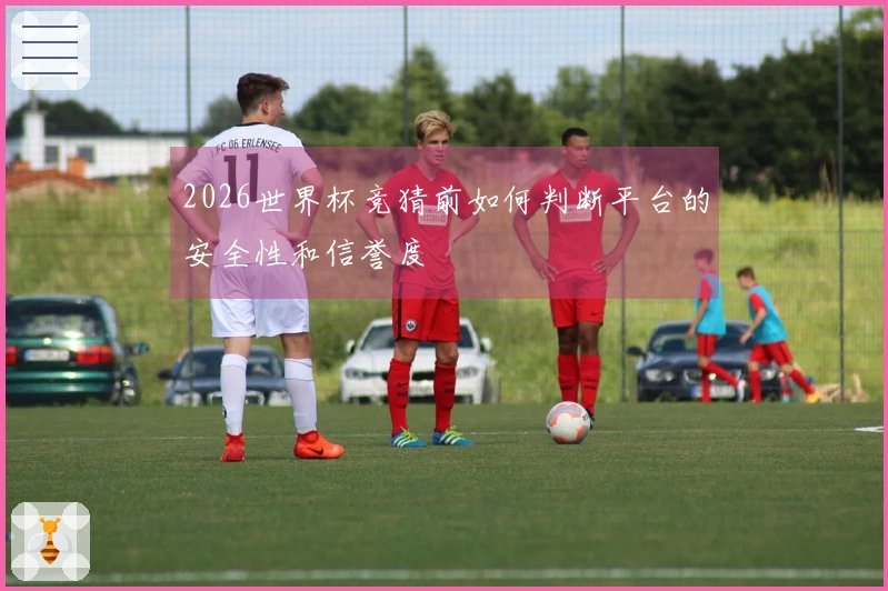 2026世界杯竞猜前如何判断平台的安全性和信誉度