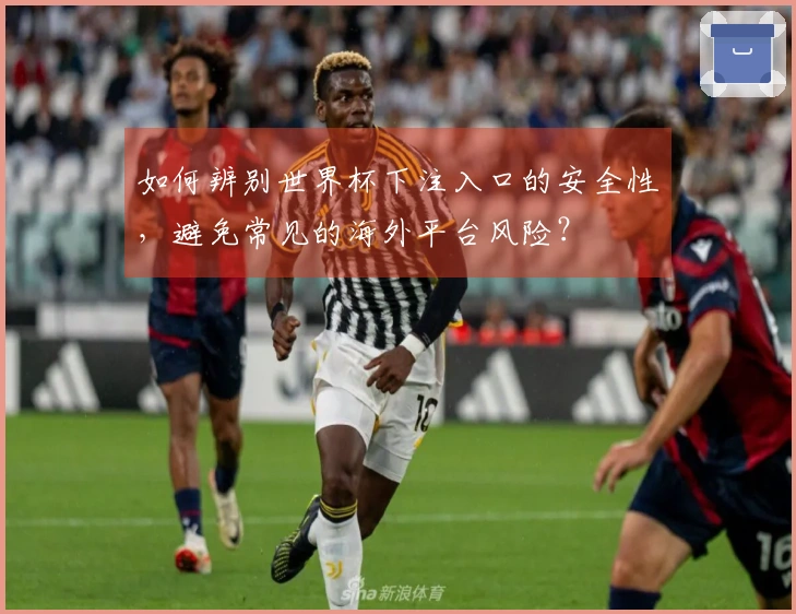 如何辨别世界杯下注入口的安全性，避免常见的海外平台风险？