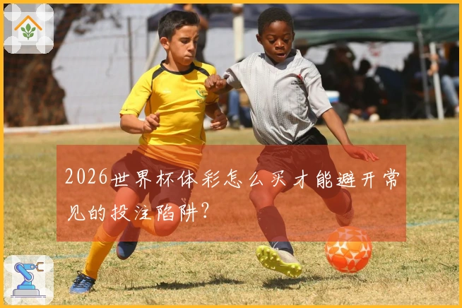 2026世界杯体彩怎么买才能避开常见的投注陷阱？
