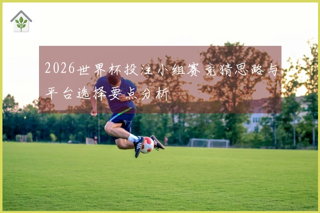 2026世界杯投注小组赛竞猜思路与平台选择要点分析