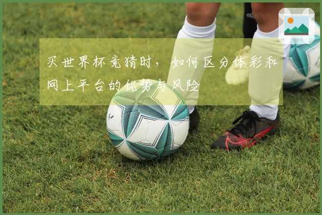 买世界杯竞猜时，如何区分体彩和网上平台的优势与风险