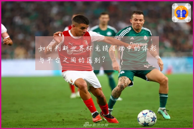 如何判断世界杯竞猜活动中的体彩与平台之间的区别？