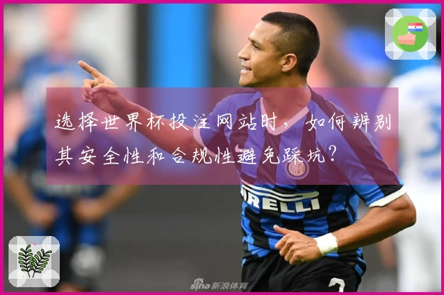 选择世界杯投注网站时,如何辨别其安全性和合规性避免踩坑?