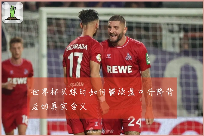 世界杯买球时如何解读盘口升降背后的真实含义