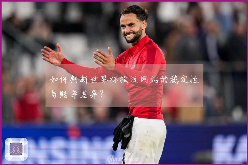如何判断世界杯投注网站的稳定性与赔率差异？