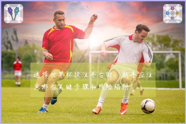 选择世界杯投注平台时，新手应注意哪些关键步骤和风险陷阱