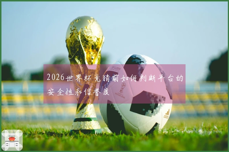 2026世界杯竞猜前如何判断平台的安全性和信誉度