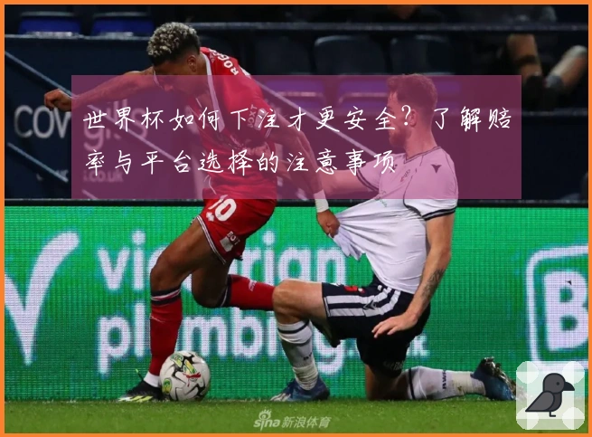 世界杯如何下注才更安全？了解赔率与平台选择的注意事项