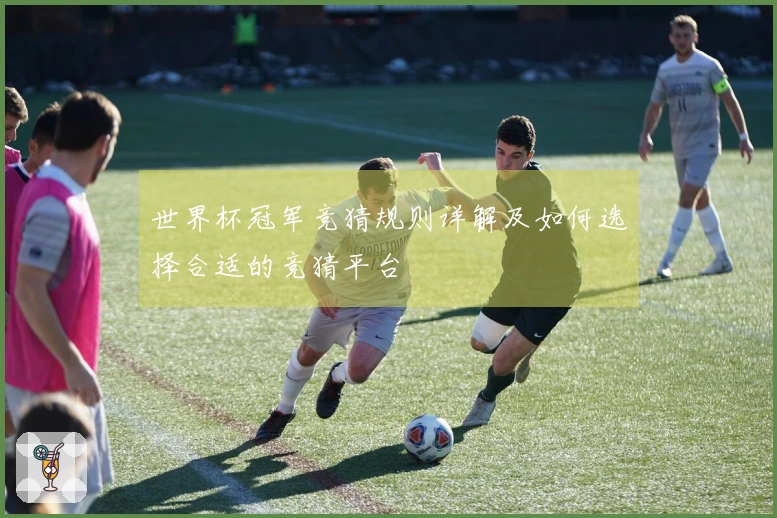 世界杯冠军竞猜规则详解及如何选择合适的竞猜平台