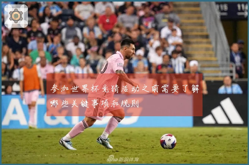 参加世界杯竞猜活动之前需要了解哪些关键事项和规则