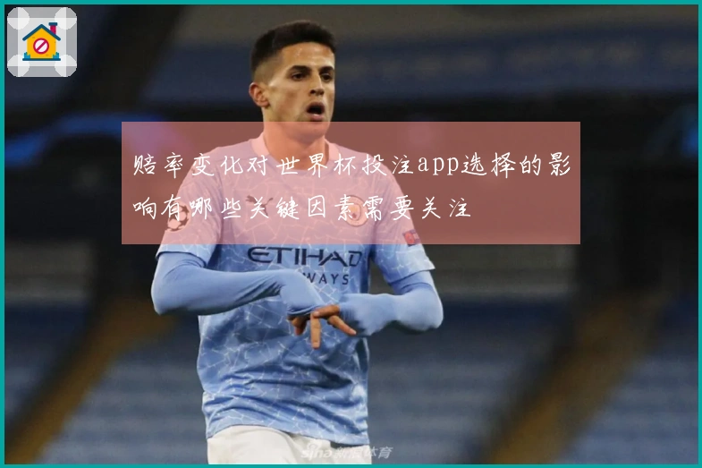 赔率变化对世界杯投注app选择的影响有哪些关键因素需要关注