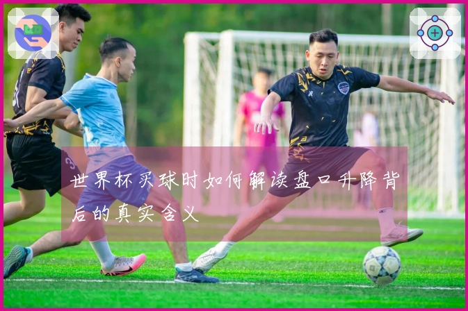 世界杯买球时如何解读盘口升降背后的真实含义